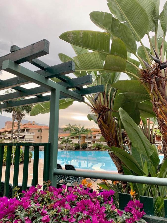 Piso Jardines Del Teide En El Puerto De La Cruz Apartment Exterior foto